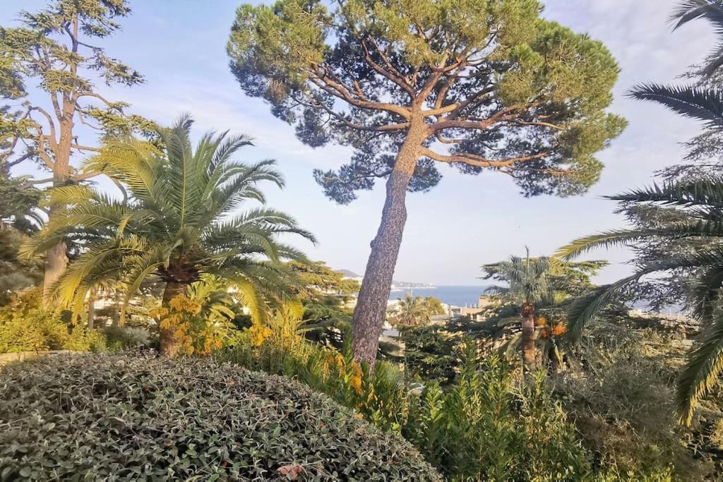 Appartement Nice Centre Vue Mer Avec Piscine Pour Famille, Couple D'Amis Pas De Groupes De Jeunes Autorises Zewnętrze zdjęcie